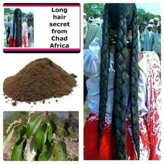 100% Authentic Chadian CHEBE OIL Wild Hair Oil for Fast Hair Growth Hair Care Curly Hair Products 20Ml