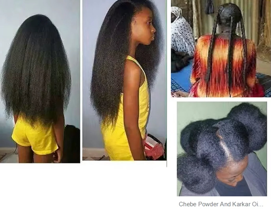 100% Authentic Chadian CHEBE OIL Wild Hair Oil for Fast Hair Growth Hair Care Curly Hair Products 20Ml